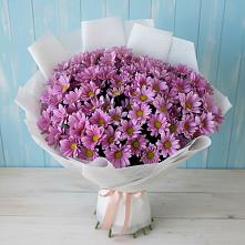 Букет цветов из:  Хризантемы #REPLACE_PRED# Родыках