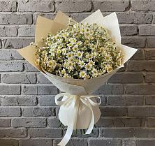 Букет цветов из:  Ромашки #REPLACE_PRED# Родыках