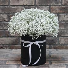 Цветочная композиция из Гипсофила в шляпной коробке в Родыках