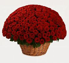 Премиум букет из: Розы в Родыках