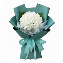 Букет цветов из:  Гортензия в Родыках